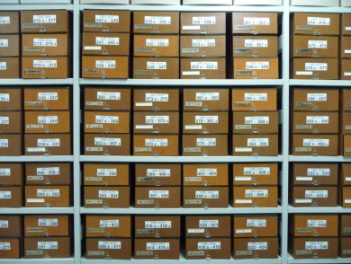 Ein Regal mit beschrifteten braunen Archivkästen