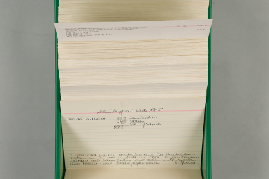 Alternativtext: grüner Kasten mit beschrifteten und beklebten Karteikarten