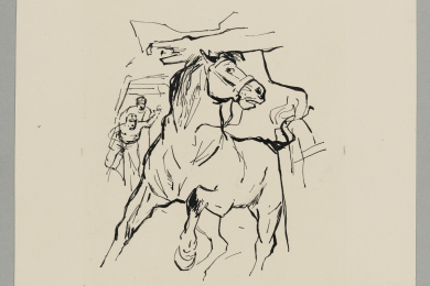 Das Pferd läuft in die enger werdende Strecke