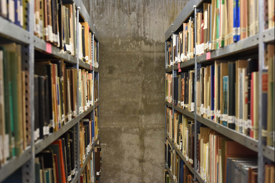 Symbolbild mit Bibliotheksregalen