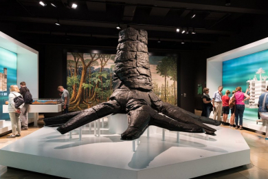 Bilck in die Ausstellung mit einem großen fossilen Baumstamm