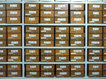 Ein Regal mit beschrifteten braunen Archivkästen