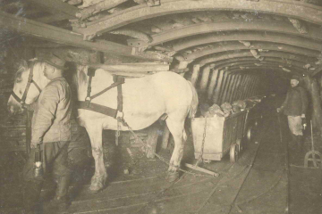 Pferd geführt von einem Bergmann zieht Förderwagen unter Tage 
