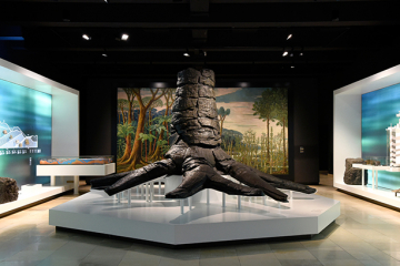 Blick in den Ausstellungssaal zur Entstehung der Kohle im Deutschen Bergbau-Museum Bochum